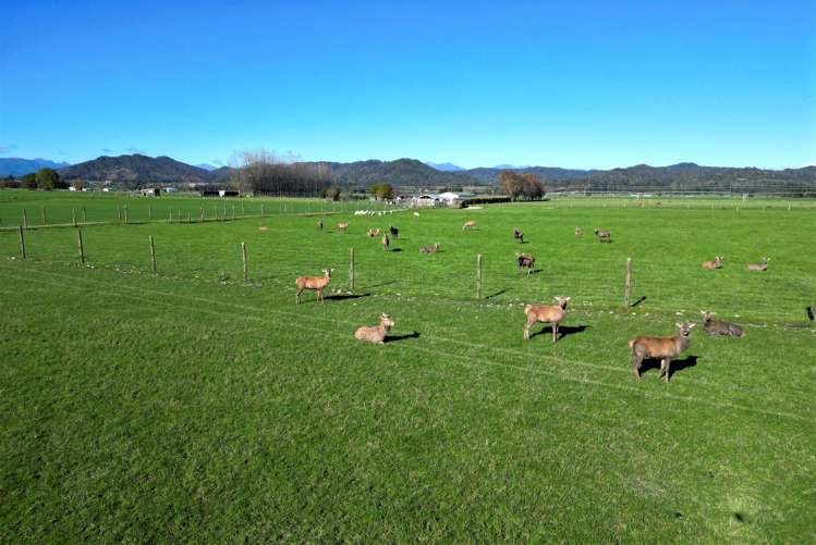 4357 State Highway 7 Totara Flat_30