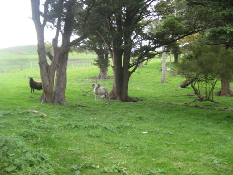 9124 Route 52 Weber_16