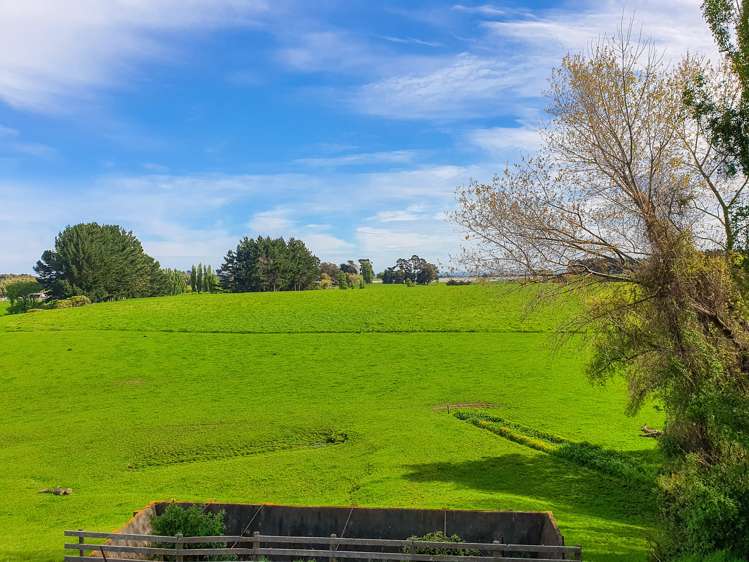 219 State Highway 3 Westmere_12