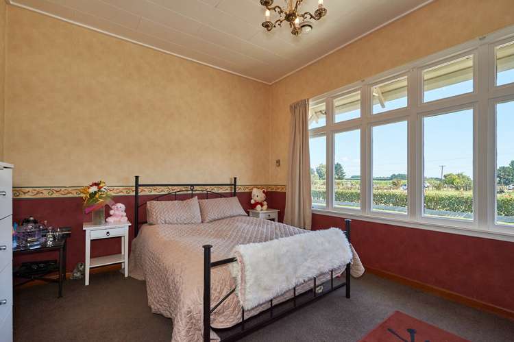 814 Roberts Line Bunnythorpe_19