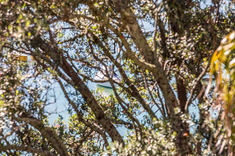 10 Awanui Street Birkenhead_15