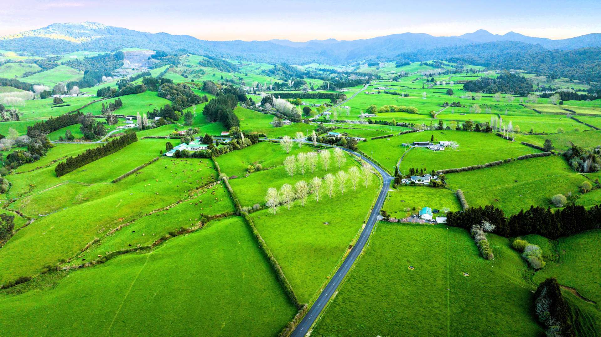 Waitawheta Road Waihi_0
