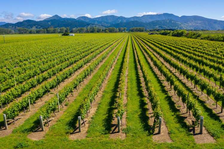 263 Chaytors Road Spring Creek_7