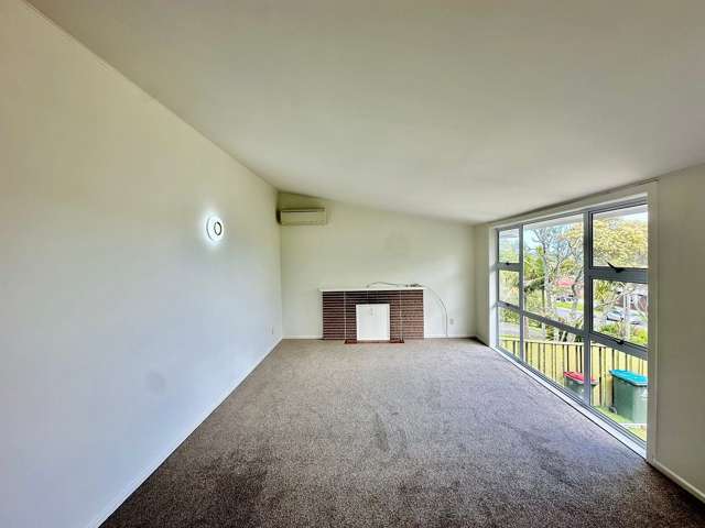 52 Subritzky Avenue Mount Roskill_3