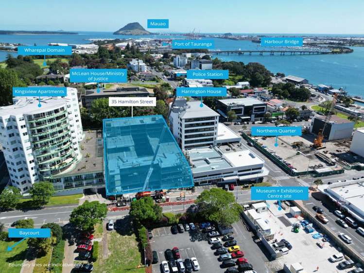35 Hamilton Street Tauranga Central_6