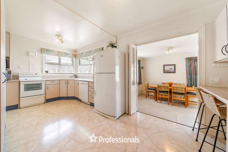 219 Taita Drive Avalon_7