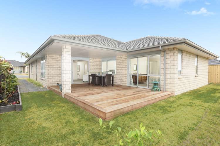 10 Celmisia Retreat_0