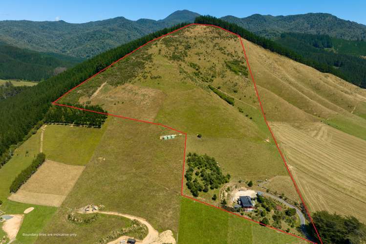 51 Bryants Road Rai Valley_32