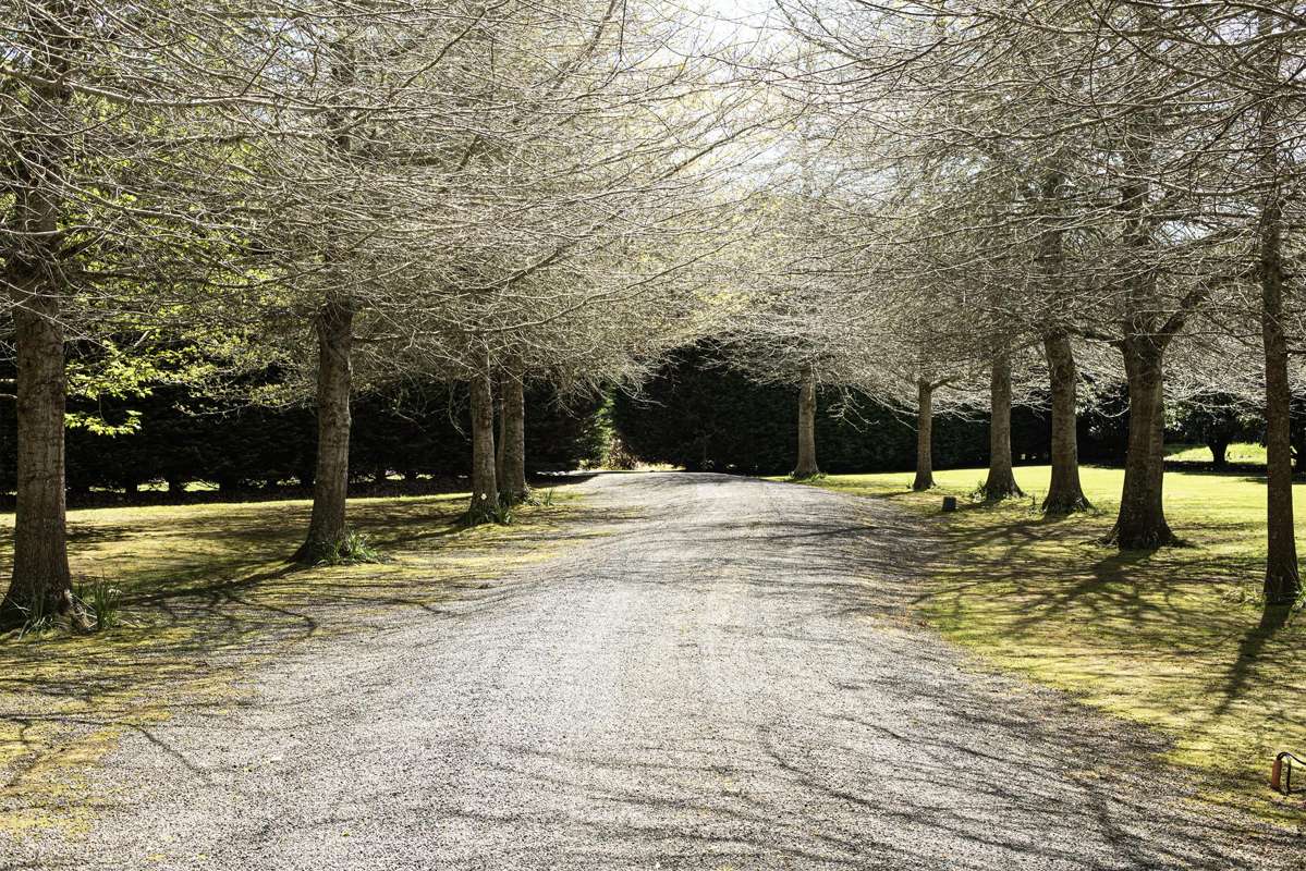 6926 Mangakahia Road_1