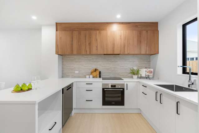 1/69 Elizabeth Street Riccarton_1