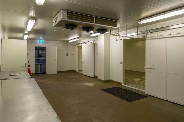 Ground Floor, 17 Mahia Street Ahuriri_6