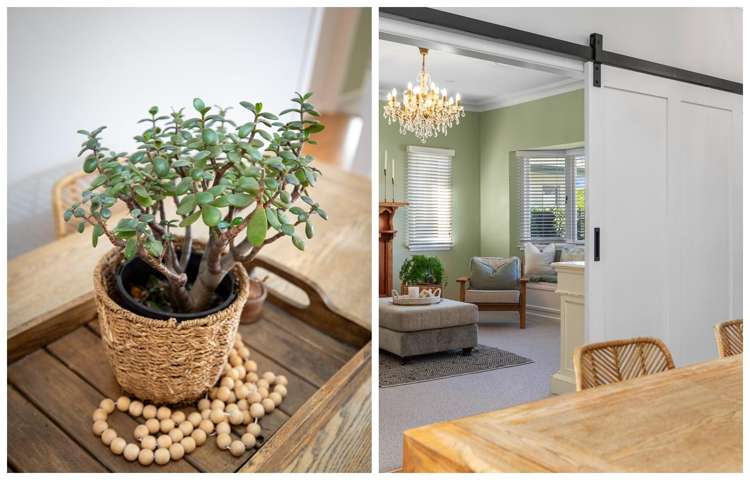 11 Alexander Street Tauranga South_9