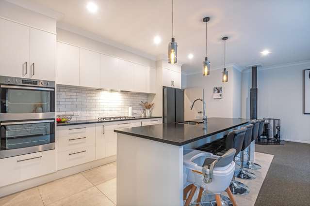 31 Monarch Drive Ashhurst_3