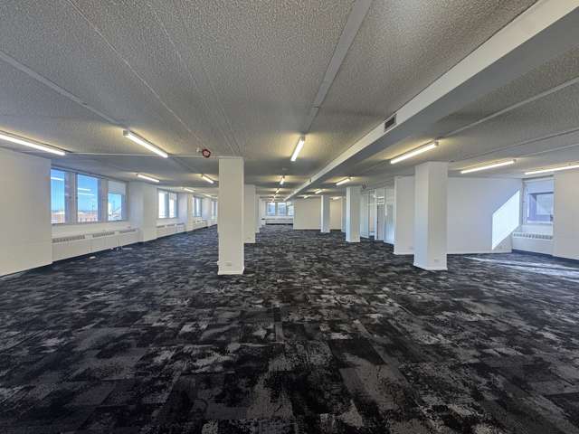 265 Princes Street City Centre Dunedin_1