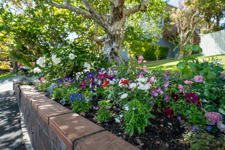 8 Makatote Grove Churton Park_28