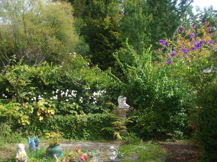 24 Mary Street Te Kuiti_19