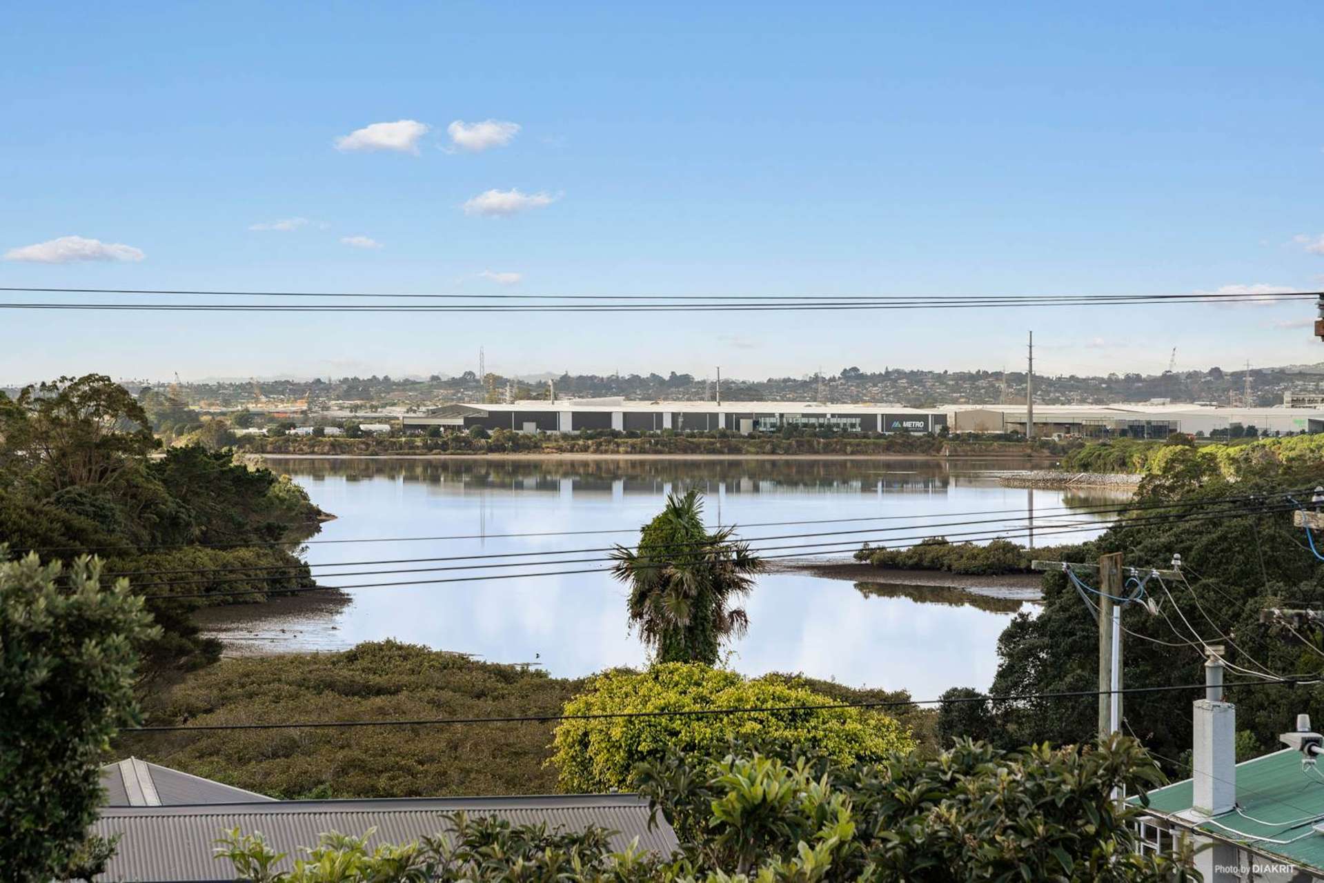 10 Mataroa Road Mount Wellington_0