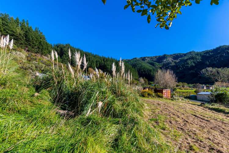 1476 Port Underwood Road Oyster Bay_5