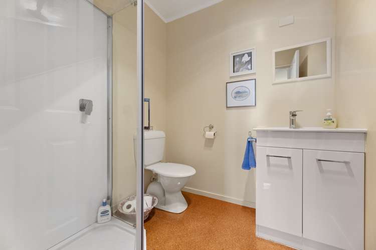 22a Mount Street Port Chalmers_13