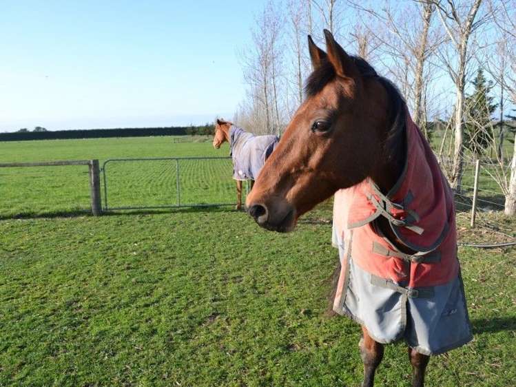 304 Springston Rolleston Road Rolleston_12