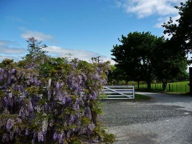 41 Fairburn Road Kaitaia_2