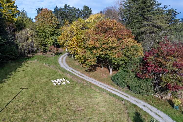 148 Casey Road Geraldine_25