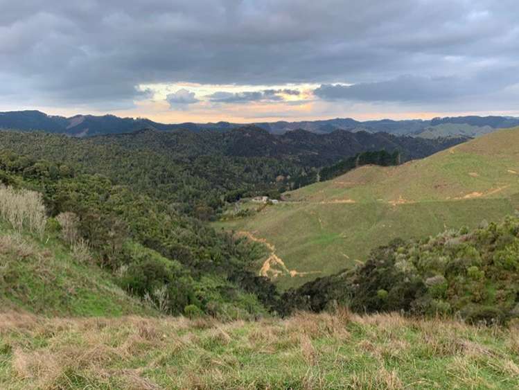 128d Otonga Valley Road Raglan_19