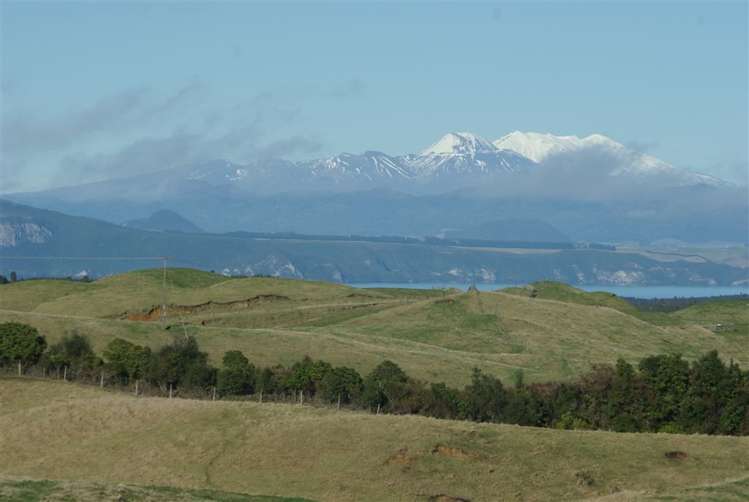 111 Otutira Drive Marotiri_10