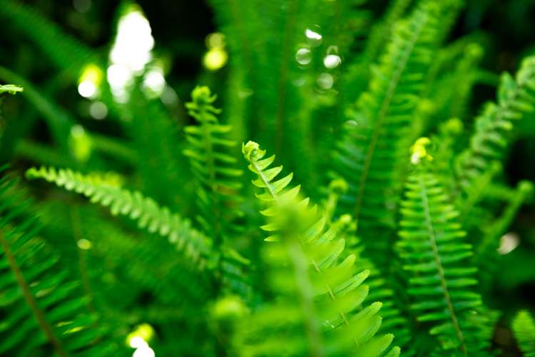 14a Puriri Road Waikanae_42