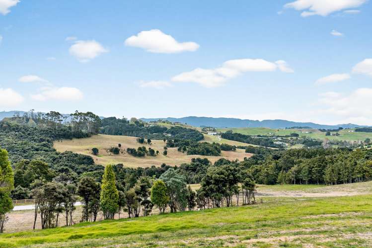 Mangawhai Bush Estate Mangawhai_14