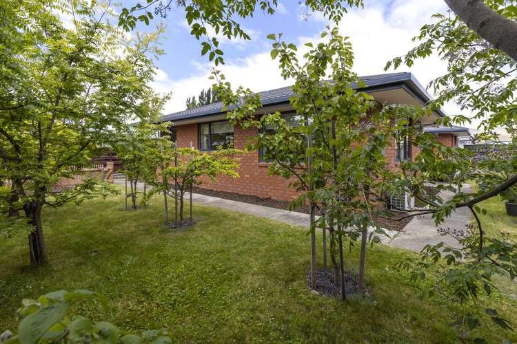 164 Muller Road Blenheim Central_18