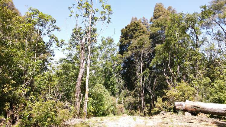 Lot 1 Lookout Road Peel Forest_7