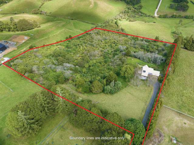 226 Pukekohe East Road Pukekohe_2