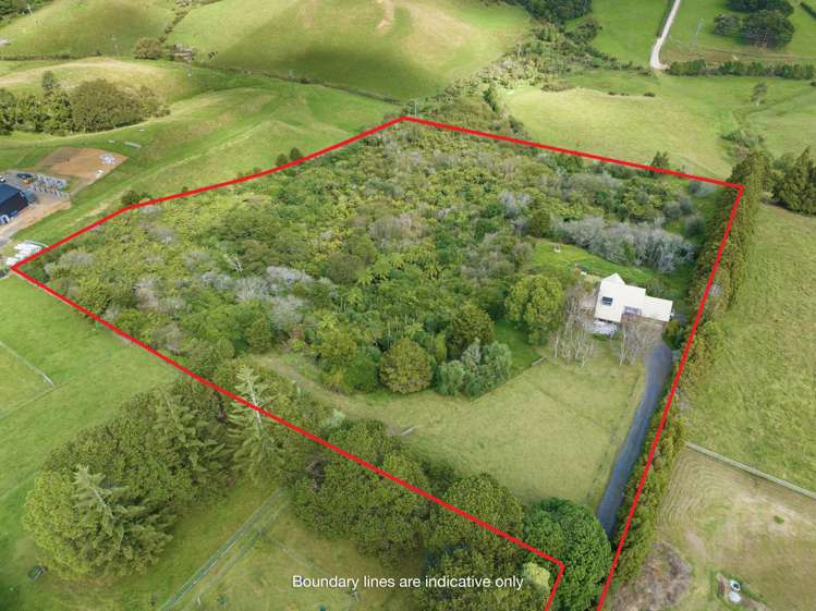 226 Pukekohe East Road Pukekohe_1