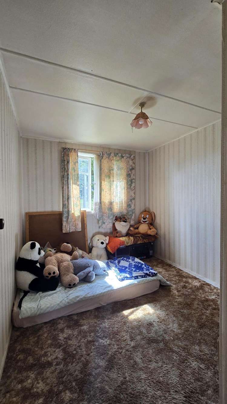 167 Balmoral Drive Tokoroa_13