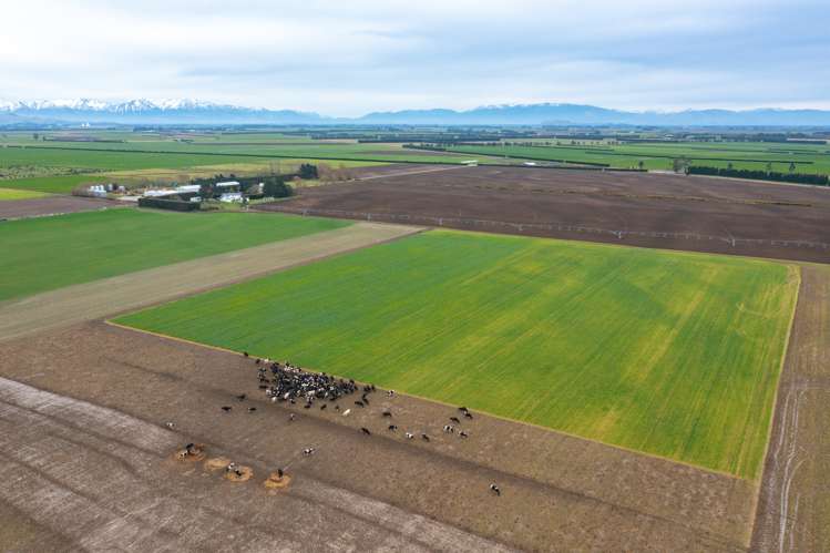 2915 West Coast Road Darfield_12