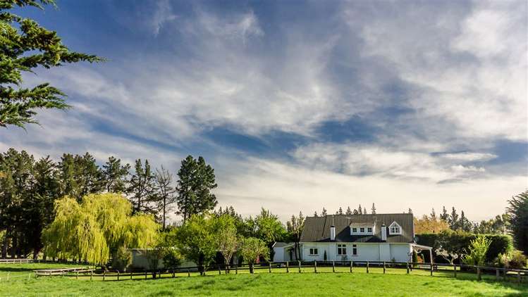 493 Loburn Whiterock Road Loburn_3