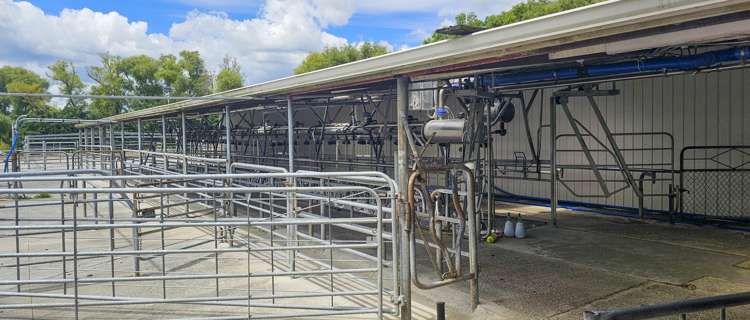 62 Ngamotu Road Rerewhakaaitu_16