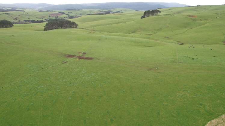 3902 State Highway 12 Dargaville Surrounds_11