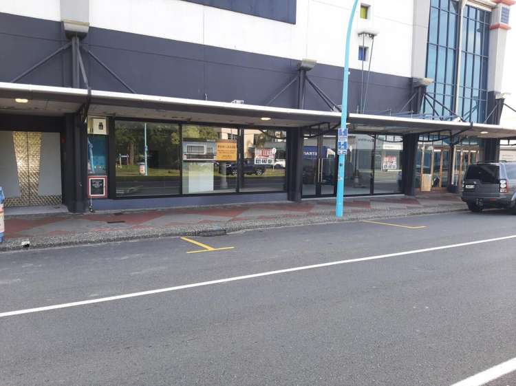 249 Maunganui Road Mount Maunganui_2