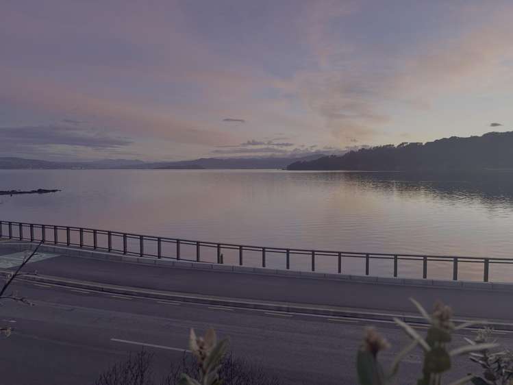 62 Evans Bay Parade Roseneath_30