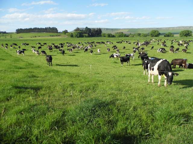 Kia Ora Downs - Versatile Farming Options