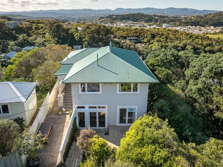 15a Hoggard Street Vogeltown_0