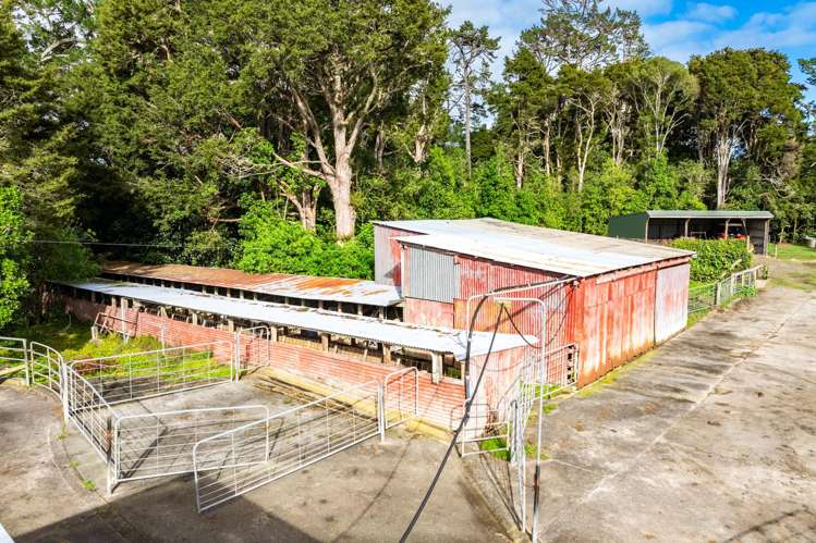 348 Tauraroa Road Maungakaramea_10
