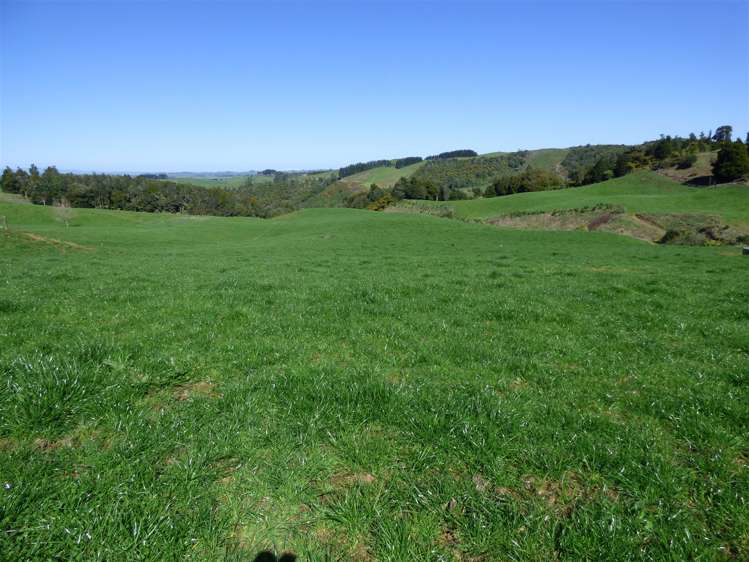 546 Ngutunui Road Otorohanga_20