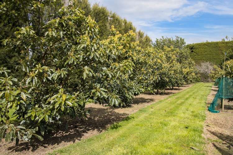 19 Henry Road Katikati_22