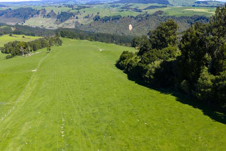 656 Waotu Road South Putāruru_16