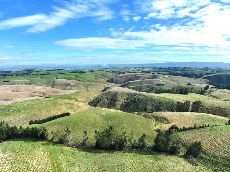 174 McCulloch Road Awamangu_28