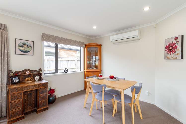 23a White Street Taradale_7