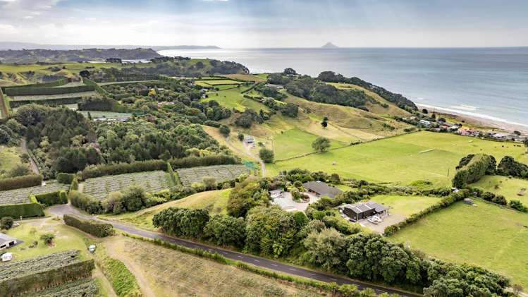 70A Thompson Road Waiotahe_32